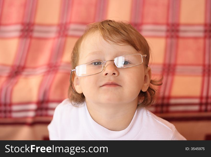 On a photo girl in glasses. portrait