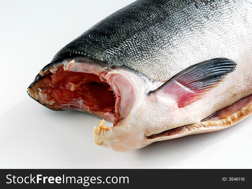 Image of salmon fish on white background