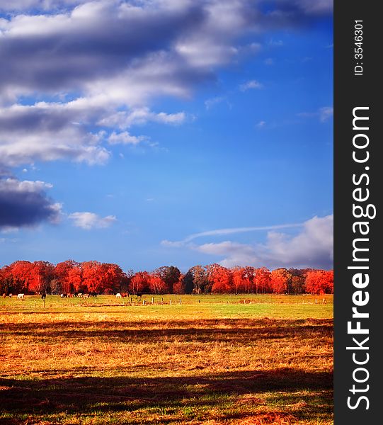 Autumnal scene with cloudy sky, trees and meadow. Autumnal scene with cloudy sky, trees and meadow