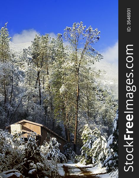 Winter Lodge In Yosemite