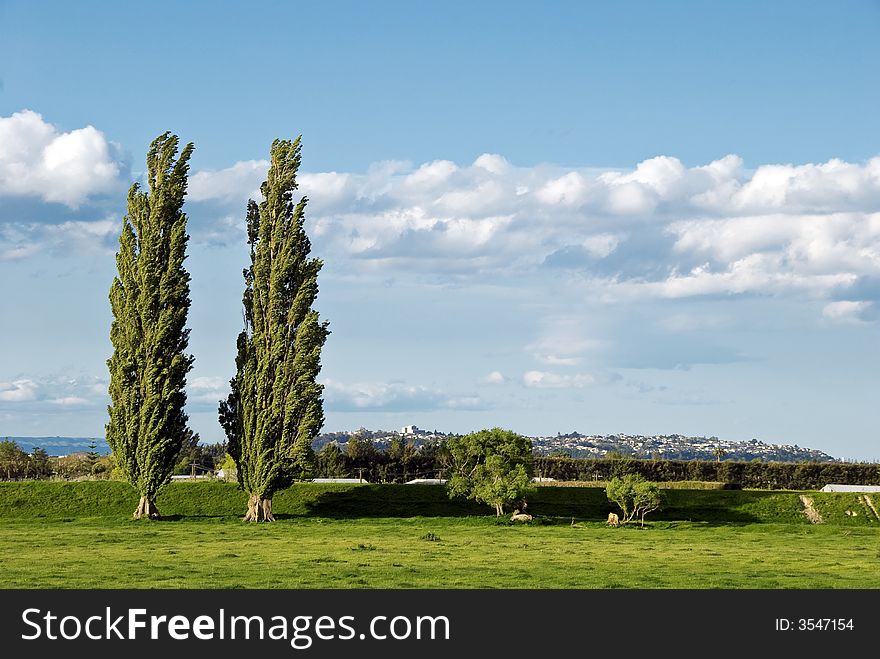 View across countryside to Napier Hill, New Zealand. View across countryside to Napier Hill, New Zealand