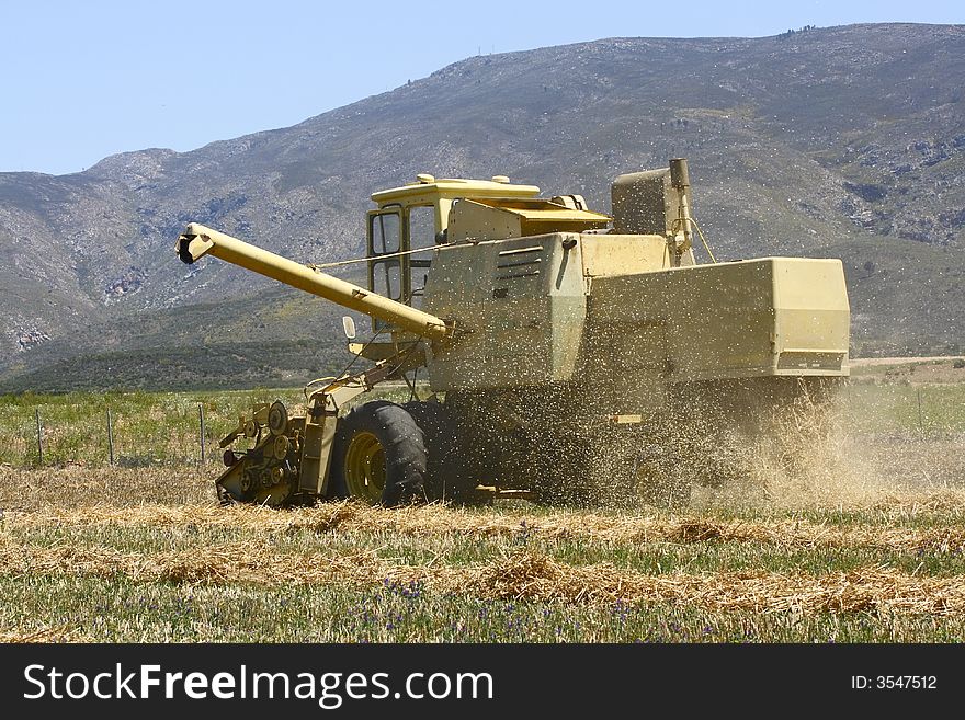 Harvester working in a field in the morning. Harvester working in a field in the morning