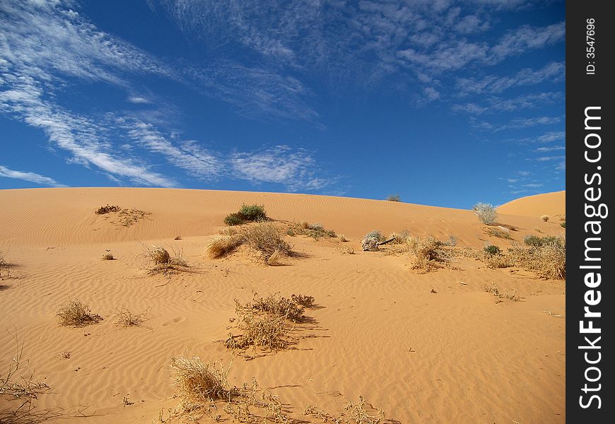A sand dune near Birdsville, Outback Queensland, Australia. A sand dune near Birdsville, Outback Queensland, Australia.