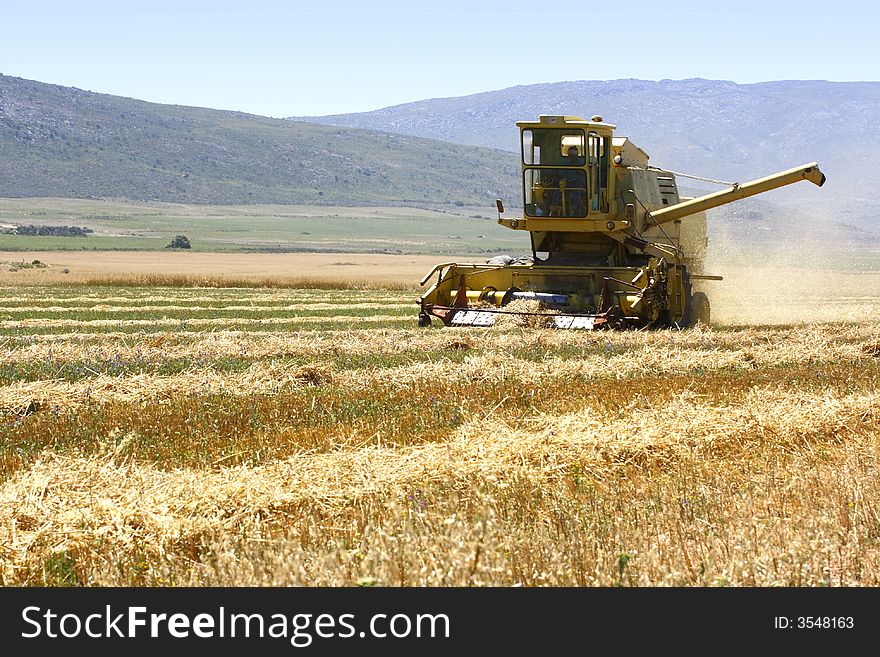 Harvester front view working in a field cutting grass. Harvester front view working in a field cutting grass