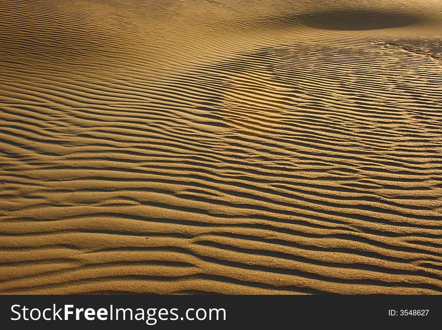 Sand dune glowing in the early morning sun. Sand dune glowing in the early morning sun