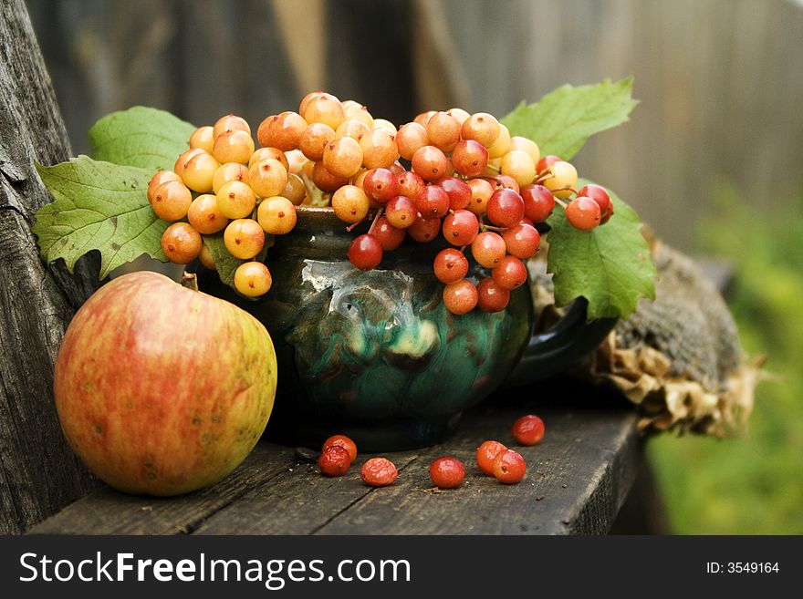 Still life - apple, mug and viburnum