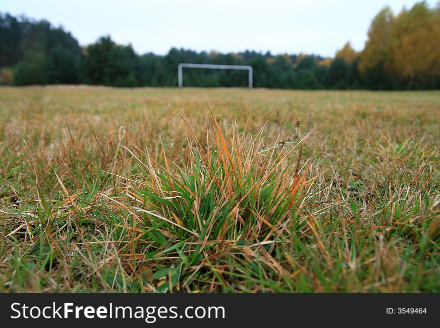 Playing field, one goal, selective focus on  grass. Playing field, one goal, selective focus on  grass