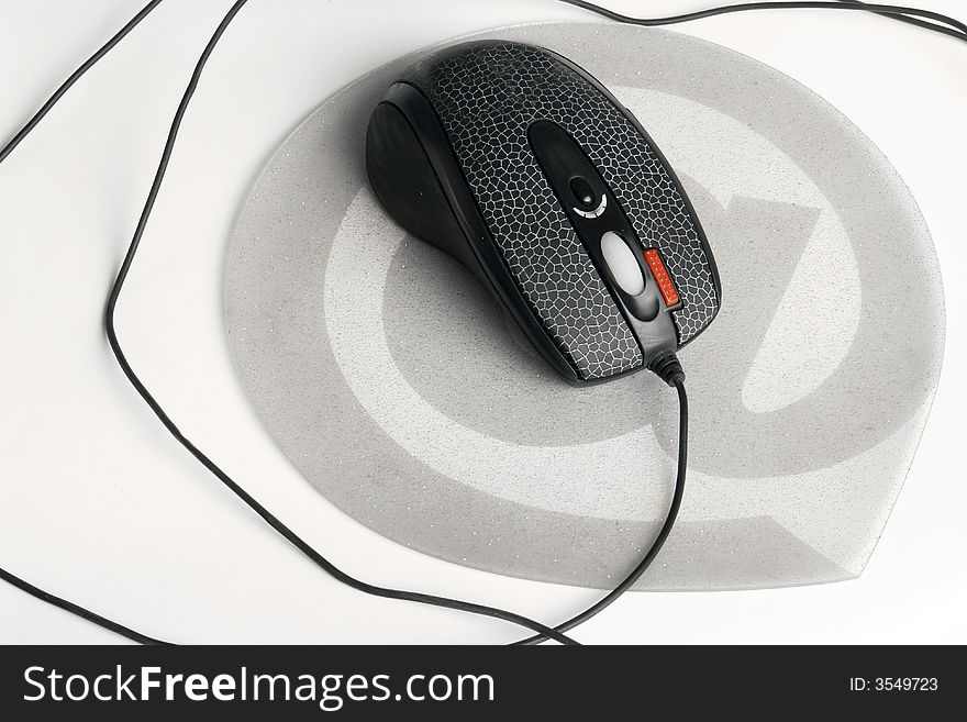 Mouse on a white background