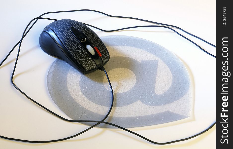 Mouse on a white background