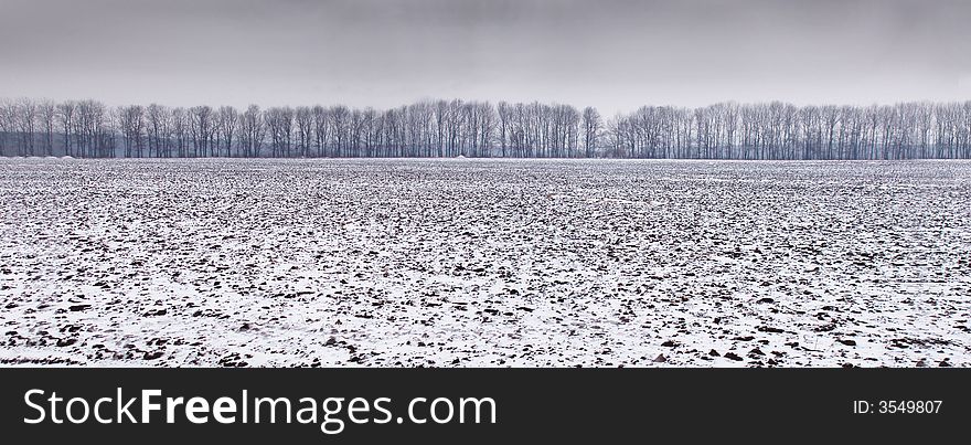 Winter panoramatic photo - field and trees