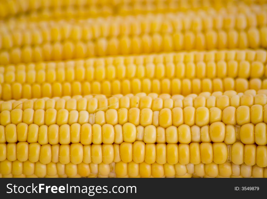 Close up of the field corn