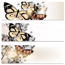 Abstract Brochures Set In Floral Style With Butterflies Royalty Free Stock Image Abstract Brochures Set In Floral Style With Butterflies Royalty Free Stock Image
