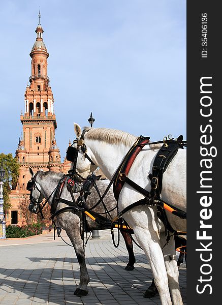 Pair horses with coach against ancient belfry. Plaza de Espana, Seville, Spain