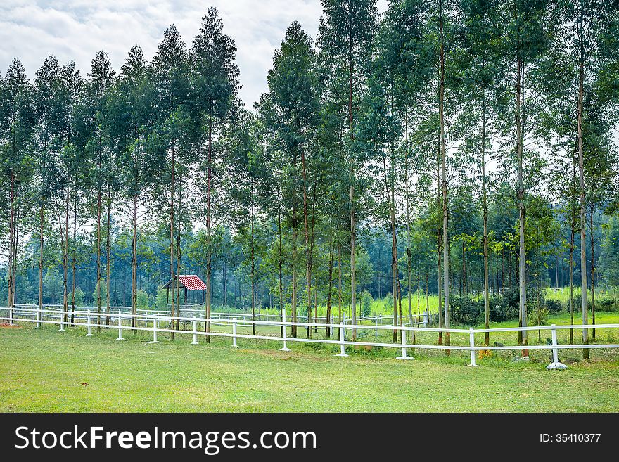 Empty stud farm in forest