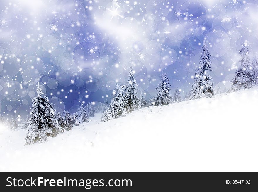 Christmas background with snowy fir trees and sky with stars. Christmas background with snowy fir trees and sky with stars