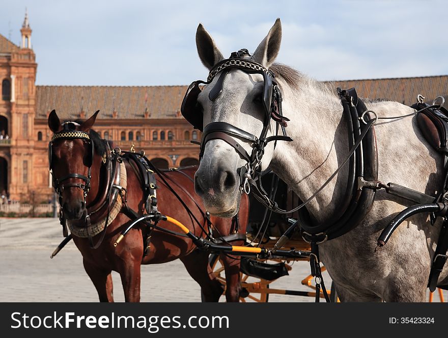 Pair horses with coach against ancient palace on Plaza de Espana, Seville, Spain. Pair horses with coach against ancient palace on Plaza de Espana, Seville, Spain