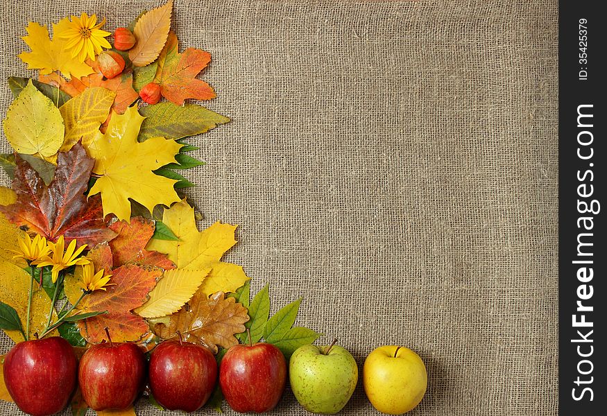 Apples, laid in a row, autumn leaves and flowers arranged on a textured fabric. Apples, laid in a row, autumn leaves and flowers arranged on a textured fabric