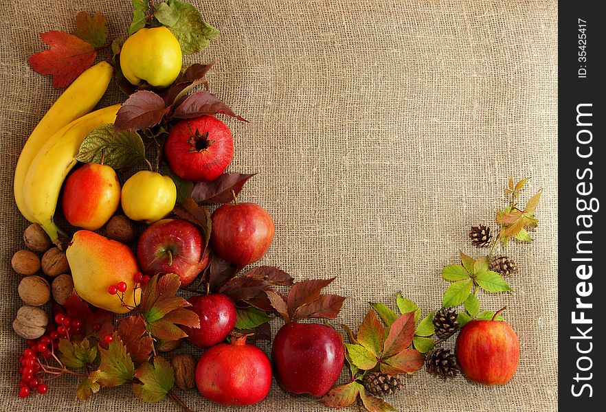 Apples, pears, lemons, bananas, quince, pine cones and a variety of autumn leaves arranged on a textured fabric. Apples, pears, lemons, bananas, quince, pine cones and a variety of autumn leaves arranged on a textured fabric