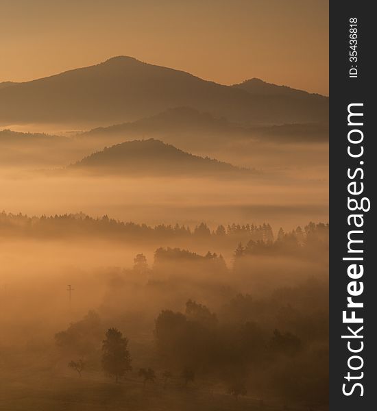 Fog in the valley in the forest. Fog in the valley in the forest