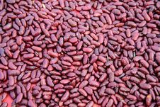 Red Beans Royalty Free Stock Images