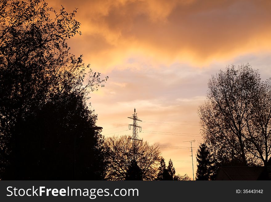 Silhouette of trees at an orange sunset