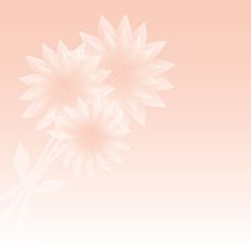Pink Greeting Card With A Bunch Of Tender Flowers Stock Images Pink Greeting Card With A Bunch Of Tender Flowers Stock Images
