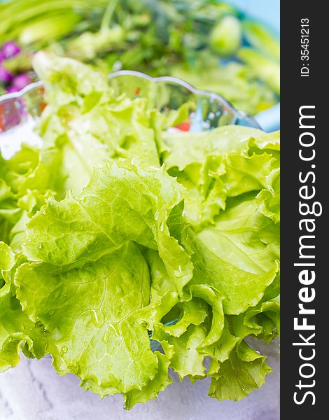 Fresh lettuce in the glass bowl