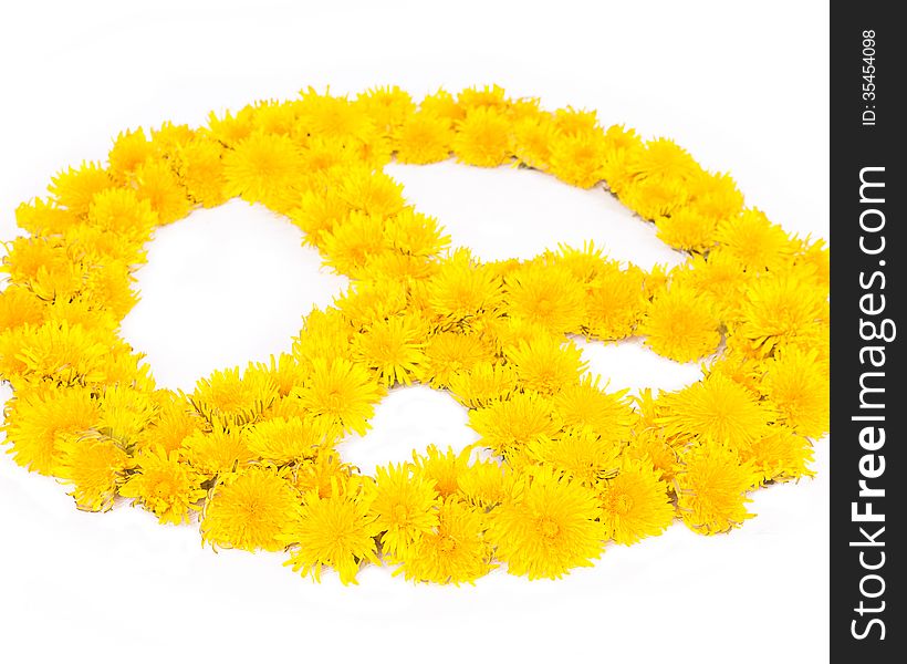 A peace symbol made from many fresh yellow dnadelion flowers against a white background. A peace symbol made from many fresh yellow dnadelion flowers against a white background.