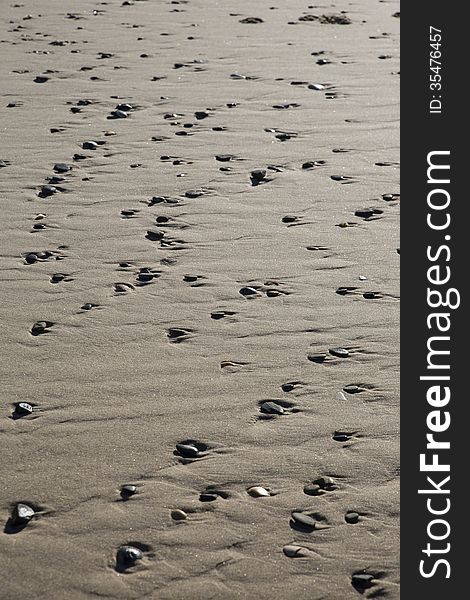 Patterns of exposed shells and stones exposed by receding tide. Patterns of exposed shells and stones exposed by receding tide