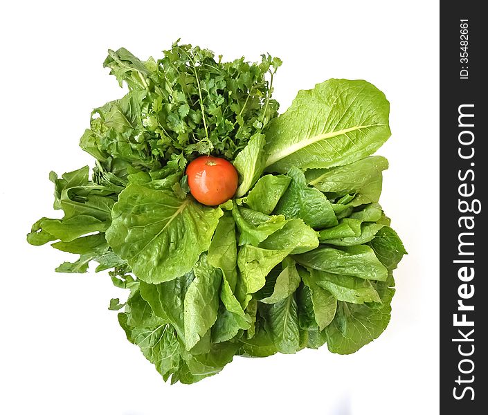 Vegetables of a tomato, lettuce and parsley in an arrangement. Vegetables of a tomato, lettuce and parsley in an arrangement