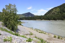Beautiful Landscape Of The Mountain River Katun. Altai. Royalty Free Stock Photography