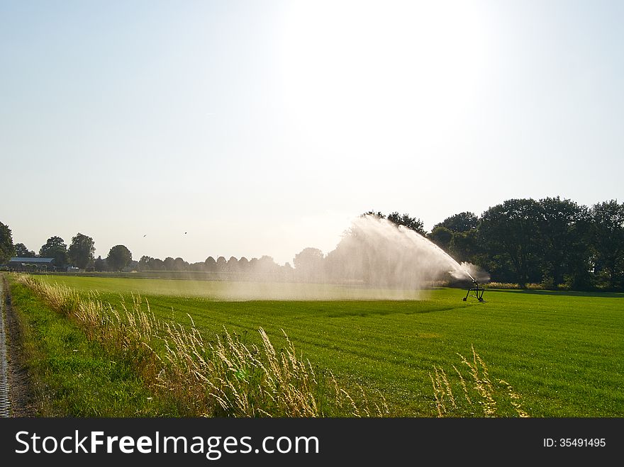 Summer green meadow under the sun irrigated sprinkler system