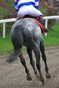 Horse-racing Royalty Free Stock Photo Horse-racing Royalty Free Stock Photo