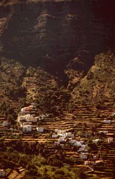 Agricultural Terraces Gomera Royalty Free Stock Photo Agricultural Terraces Gomera Royalty Free Stock Photo