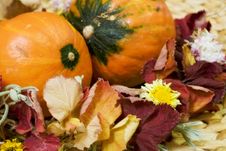 Autumn Still Life Royalty Free Stock Image Autumn Still Life Royalty Free Stock Image