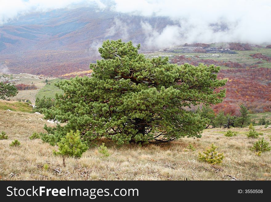 Crimean autumn mountains all in clouds tree in mountains