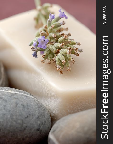 Photography of soap with lavender