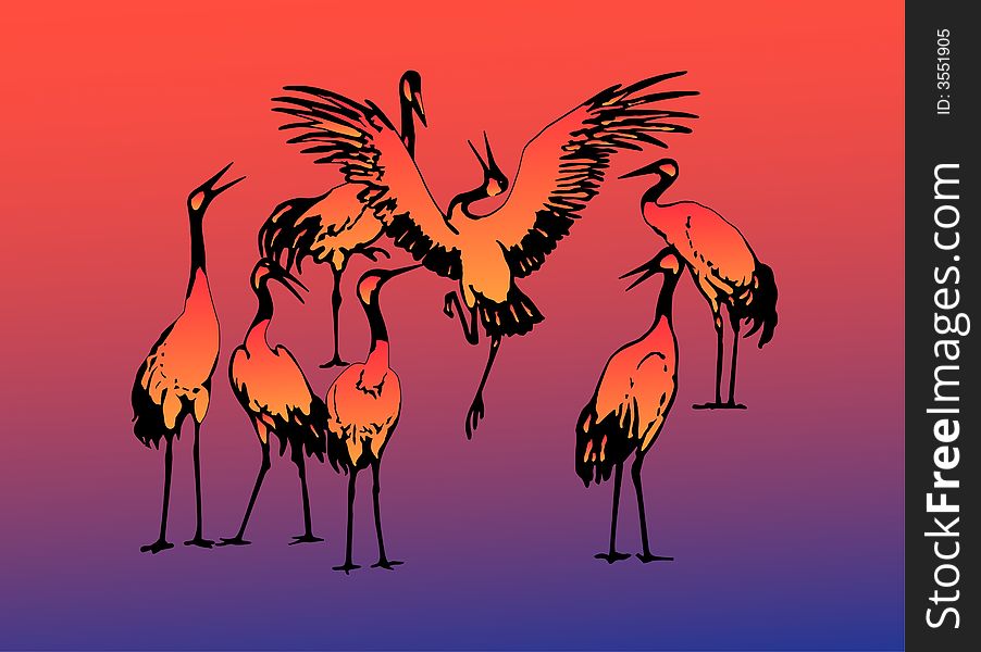 Seven dancing storks in the evening on lake