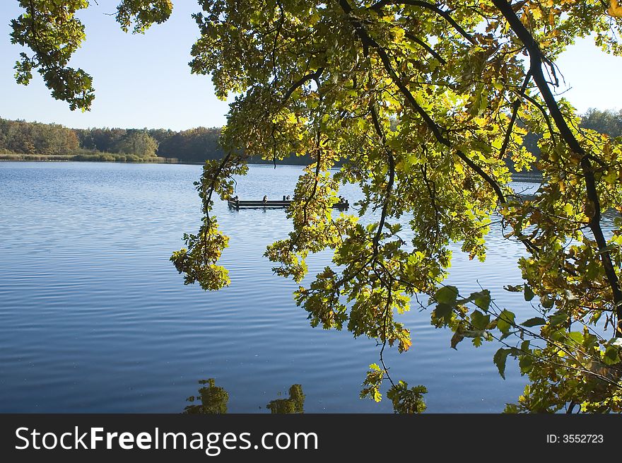 Autumn trees near the river. Autumn trees near the river