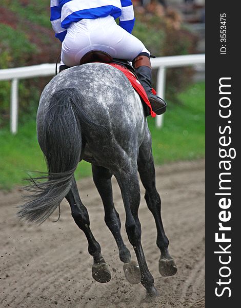 Horse and jockey at race-course, up to the finish. Horse and jockey at race-course, up to the finish