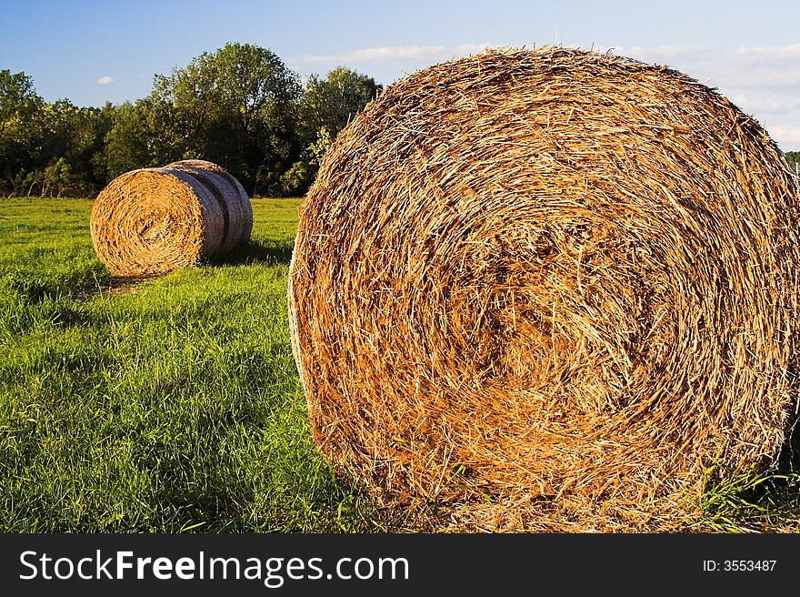 Hay bales on a cornfield