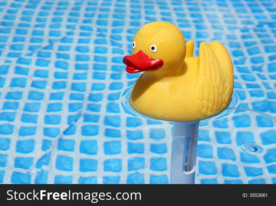 Yellow Rubber Duck in the pool, used to display water temperature.
