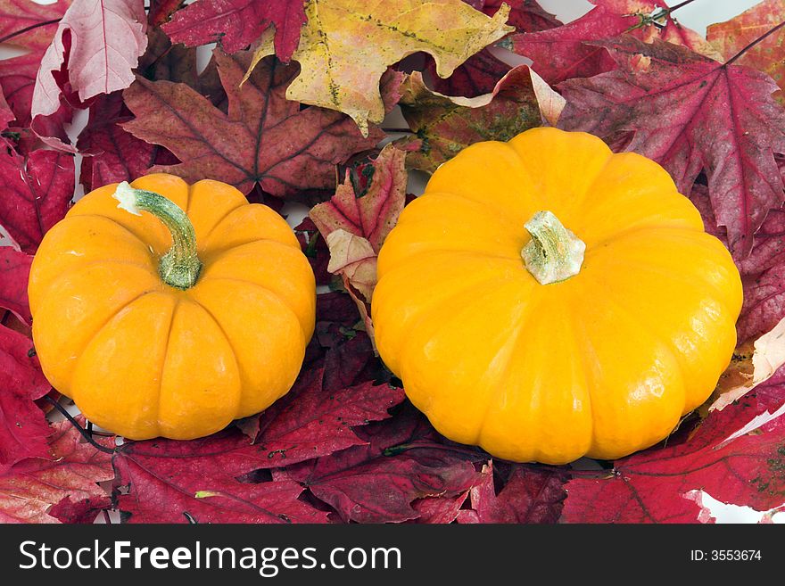 Two orange pumpkins on red leaves background