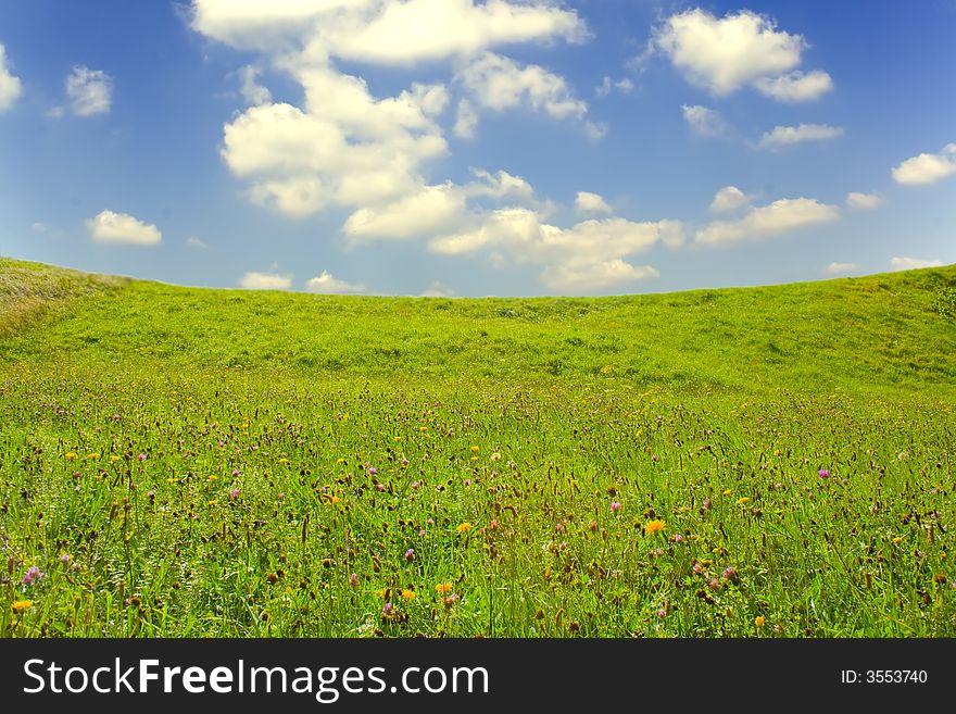 Summer day, landscape of green grass