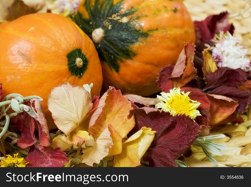 Still life with two small orange pumpkins and diadem from autumn leaves and flowers. Still life with two small orange pumpkins and diadem from autumn leaves and flowers