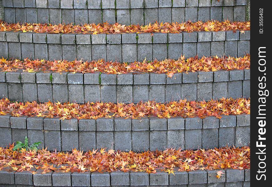 Leaf And Stair Pattern