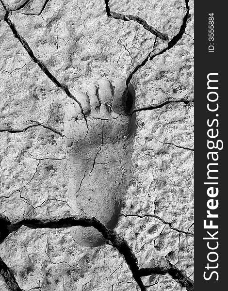 Footprint In Mud