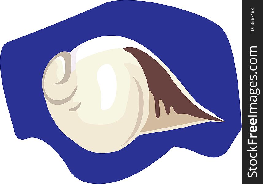 Illustration of a sea shell lying parallel on a bluish area