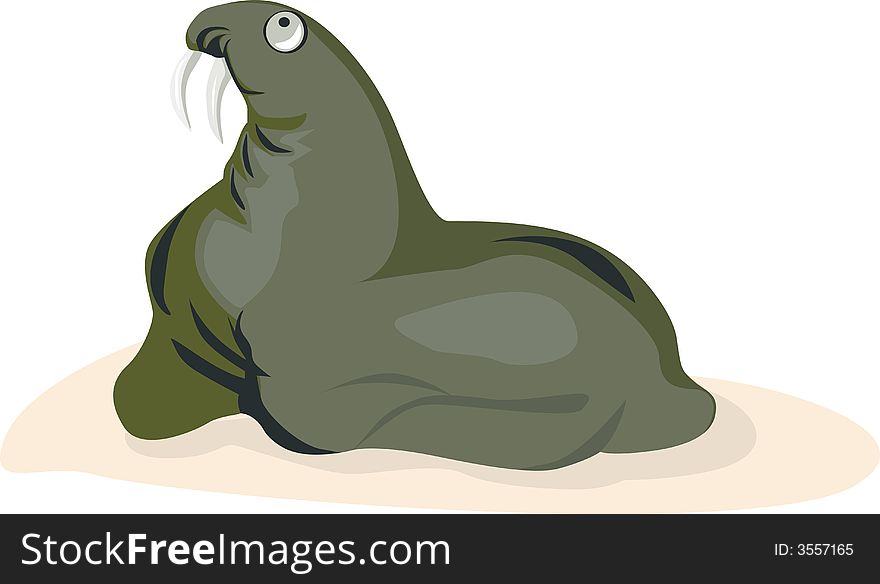 Sea- lion