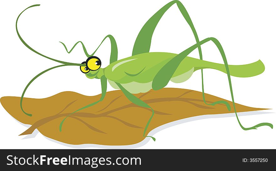 Illustration of a grasshopper with long antenna sitting in a leaf